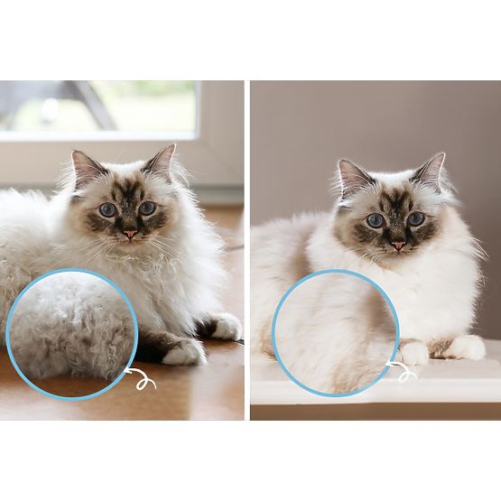 Pettine - spazzola professionale anti-groviglio PJ-040