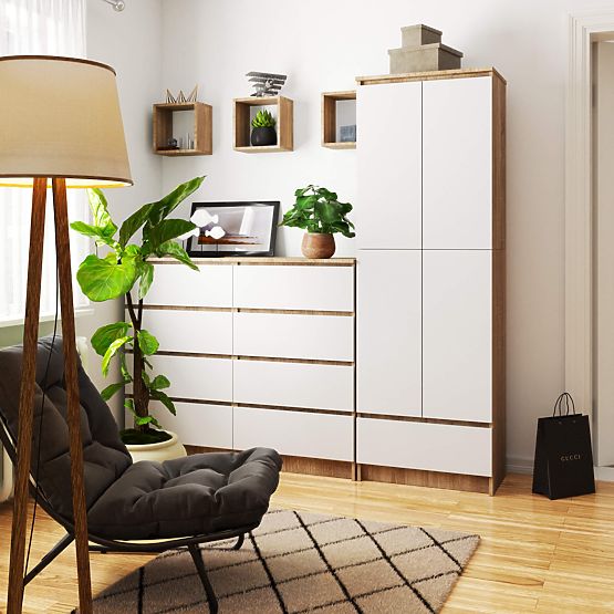 SCAFFALE CHIUSO R60 2D 1SZ CLP PK ROVERE SONOMA / BIANCO