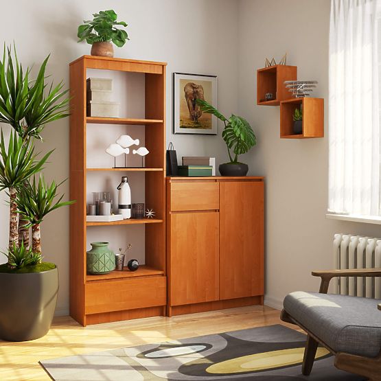 SCAFFALE R 60 cm CLP 1 CASSETTO 4 RIPIANI PK ONTANO