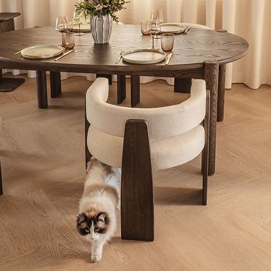 Sedia da pranzo Bruna, beige, rovere mocha