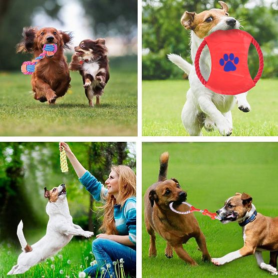 Set di 10 giocattoli per cani DYLAN tira e molla