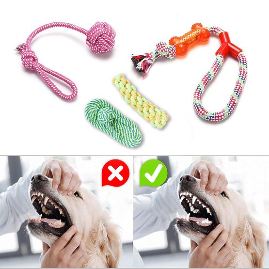 Set di 10 giocattoli per cani DYLAN tira e molla