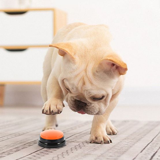 Set di 4 pulsanti di comunicazione per cani TALKER