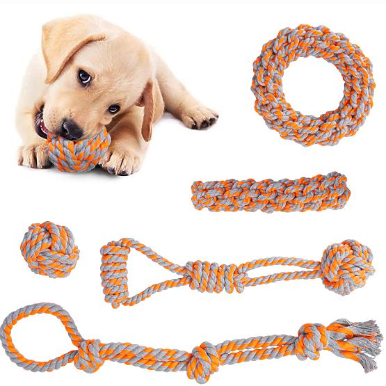 Set di giochi da tiro per cani SPANKY 5 pezzi