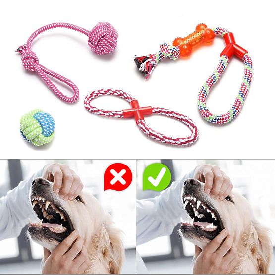 Set di giochi da tiro per cani SPANKY 5 pezzi