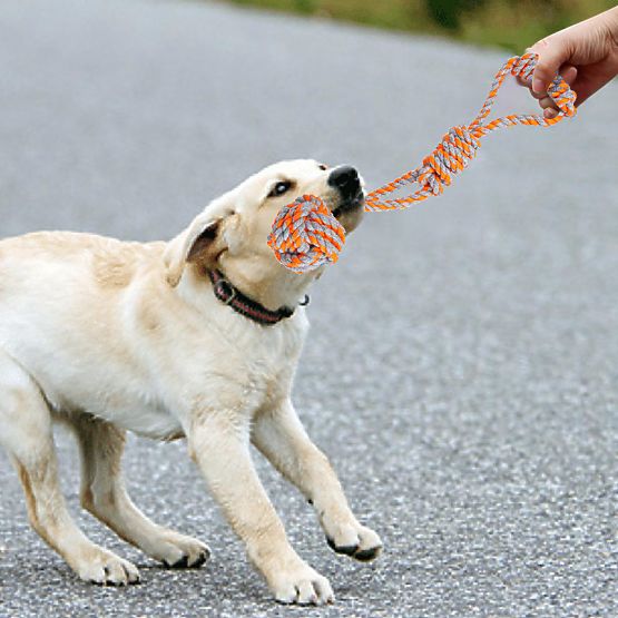 Set di giochi da tiro per cani SPANKY 5 pezzi