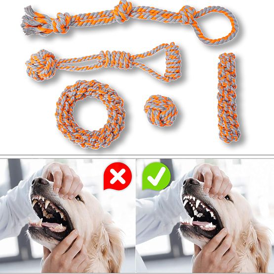 Set di giochi da tiro per cani SPANKY 5 pezzi