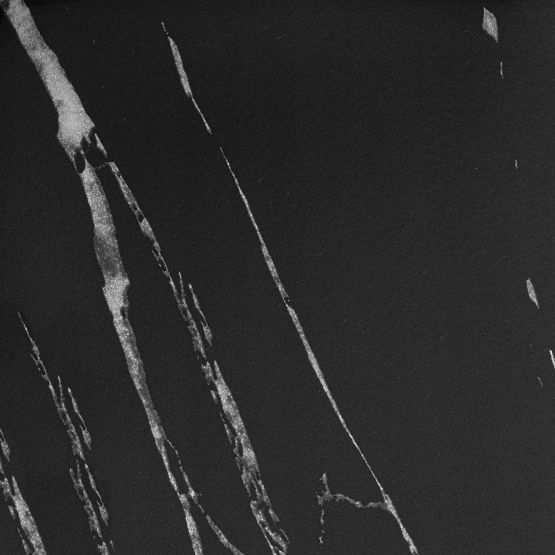 Supporto per piante Mogren marmo nero