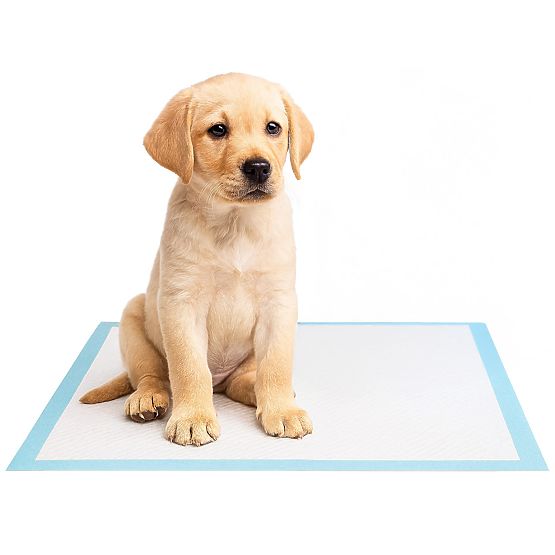 Tappetini igienici per animali BARRY 60x90 50 pezzi