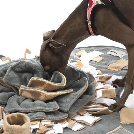 TAPPETINO OLFATTIVO PER CANI PJ-028