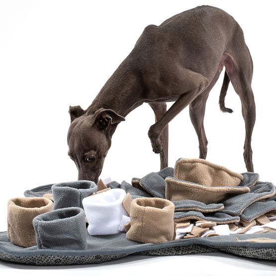 TAPPETINO OLFATTIVO PER CANI PJ-028