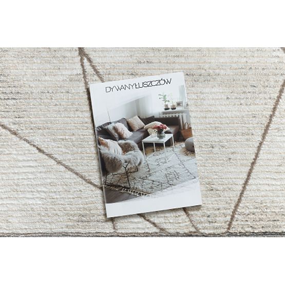 Tappeto BLISS Z201Z128 crema / beige - Cornice, geometrico, moderno, strutturale