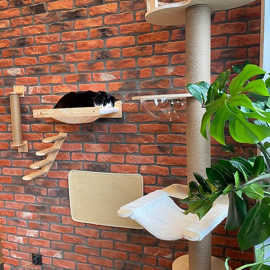 TIRAGRAFFI DA PARETE PER GATTI 332526