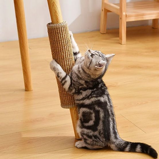 TIRAGRAFFI PER GATTI 60x40cm 332494