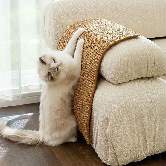 TIRAGRAFFI PER GATTI 60x40cm 332494