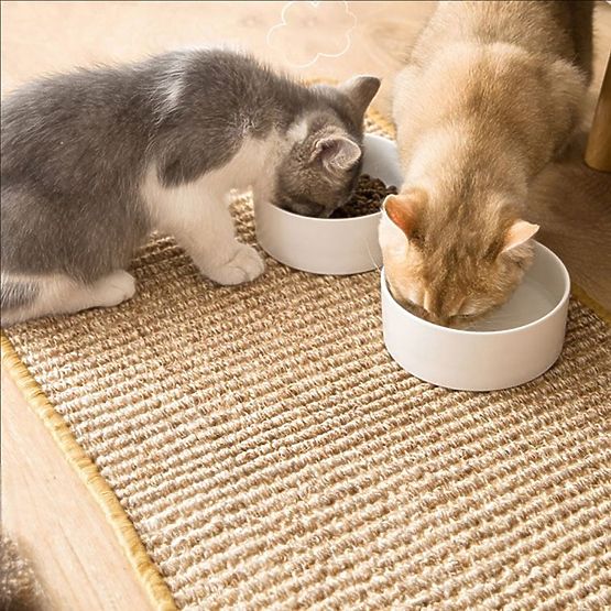 TIRAGRAFFI PER GATTI 60x40cm 332494