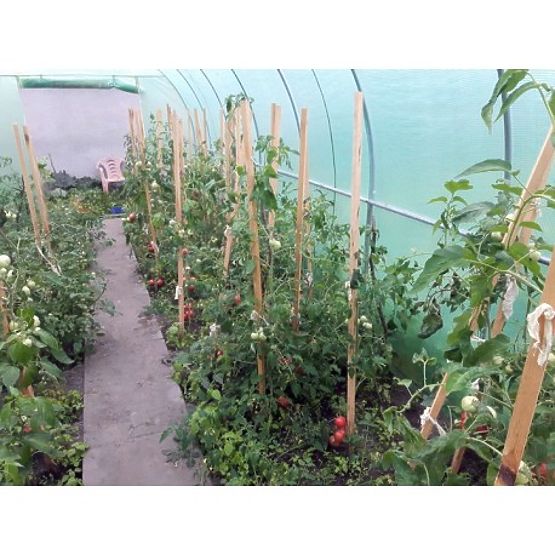 Tunnel in pellicola - serra da giardino - 3x6 m