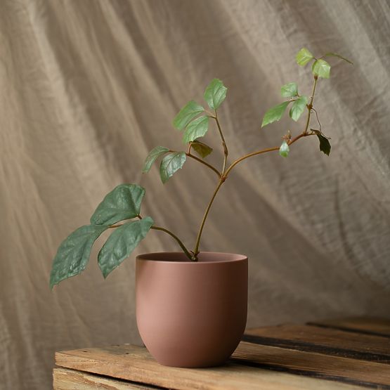 Vaso da fiori SHIRE colore azzurro stile moderno per interni ameliahome