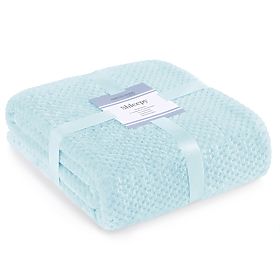 Coperta SHLEEPY colore azzurro chiaro motivo jacquard stile classico 70x150