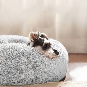CUCCIA PER CANI E GATTI PJ-013 GRIGIO CHIARO M, PuppyJoy