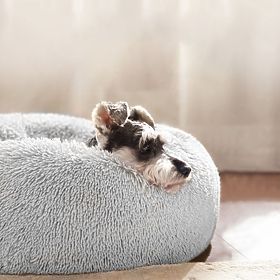 CUCCIA PER CANI E GATTI PJ-015 GRIGIO CHIARO XL