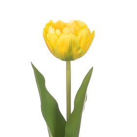 Fiore artificiale TULIPI colore giallo stile moderno ameliahome