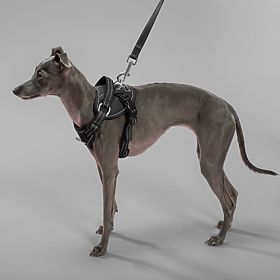 Guinzaglio e imbracatura per cane PJ-051 nero S, PuppyJoy