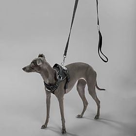 Guinzaglio e imbracatura per cane PJ-055 nero M, PuppyJoy