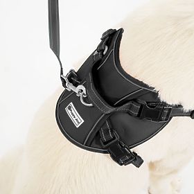 Guinzaglio e imbracatura per cane PJ-059 nero L, PuppyJoy