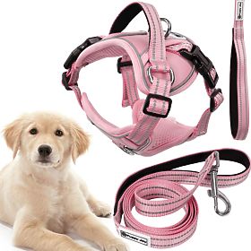 Guinzaglio e imbracatura per cane PJ-060 rosa L, PuppyJoy