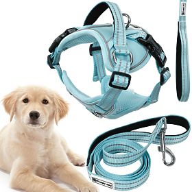 Guinzaglio e imbracatura per cane PJ-062 blu L, PuppyJoy