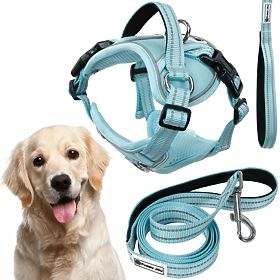 Guinzaglio e imbracatura per cane PJ-066 blu XL, PuppyJoy