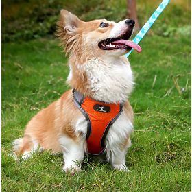 Imbracatura da addestramento per cani ASTRO arancione taglia S