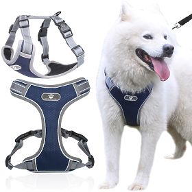 Imbracatura da addestramento per cani ASTRO blu taglia L