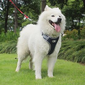 Imbracatura da addestramento per cani ASTRO blu taglia L