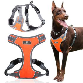 Imbracatura da passeggio per cani ASTRO arancione taglia XL
