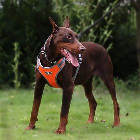 Imbracatura da passeggio per cani ASTRO arancione taglia XL