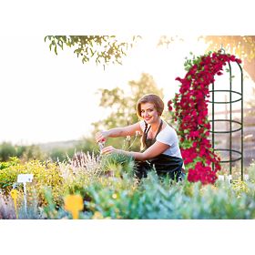 Pergola in metallo palo verde scuro 190 cm