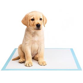 Tappetini igienici per animali BARRY 60x90 50 pezzi