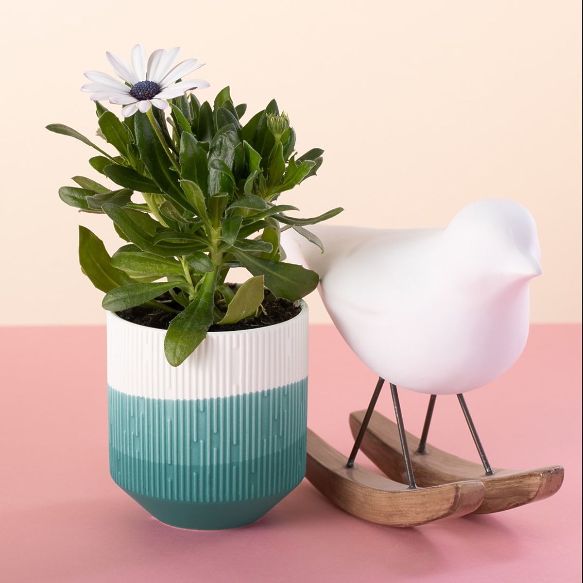 Vaso FINO colore rosa cipria stile moderno per interni ameliahome