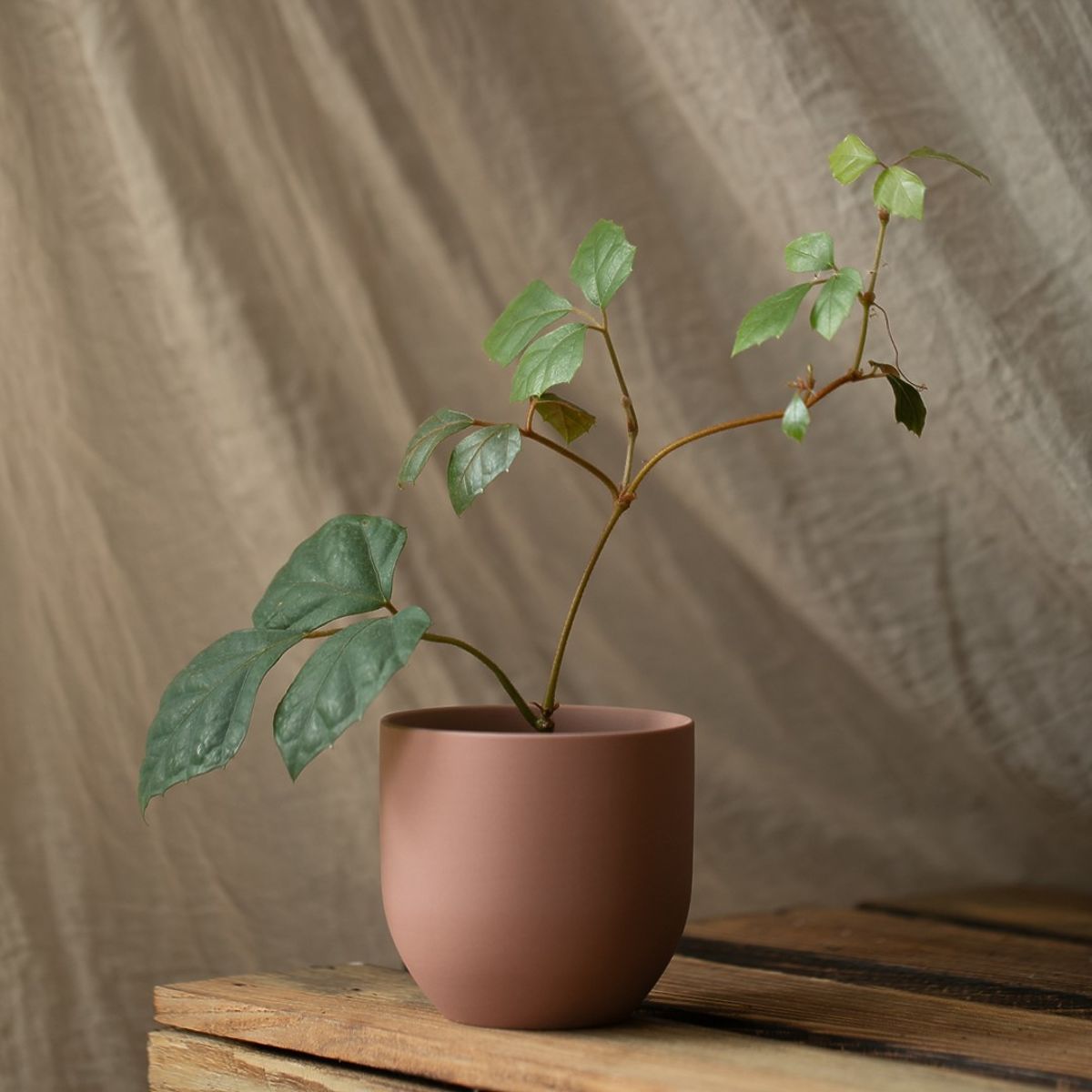 Vaso SHIRE colore rosa cipria stile moderno per interni ameliahome